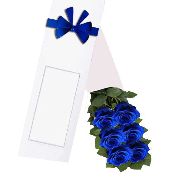 Caja 6 Rosas Azules 